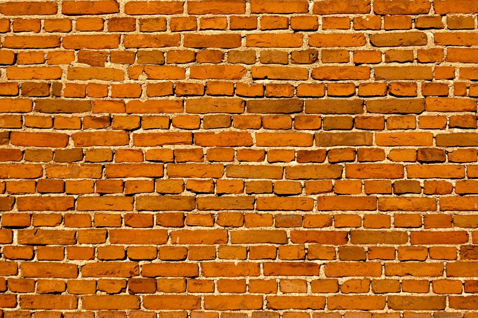 Turning Low-Hanging Fruit into Lasting Brand Value